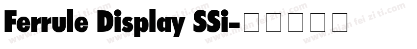 Ferrule Display SSi字体转换